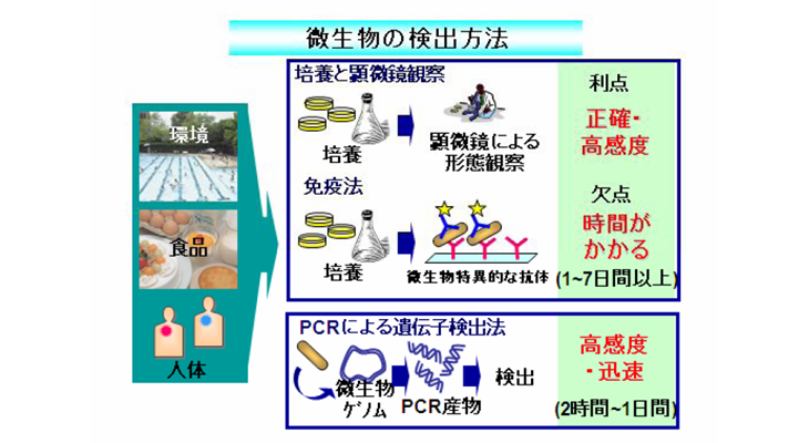 微生物の検出方法