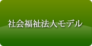 社会福祉法人モデル