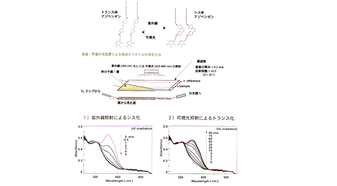 アゾベンゼンLB膜1層のトランスーシス光異性化反応